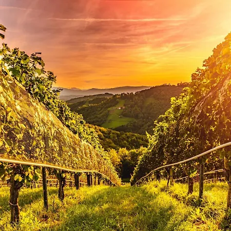Zum Sausaler - Boutique Hotel-pension Suedsteiermark *