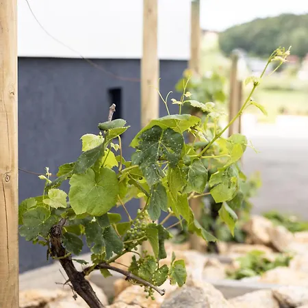 Zum Sausaler - Boutique Hotel-pension Suedsteiermark Otel Sankt Nikolai im Sausal