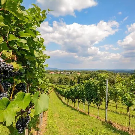 Zum Sausaler - Boutique Hotel-pension Suedsteiermark *