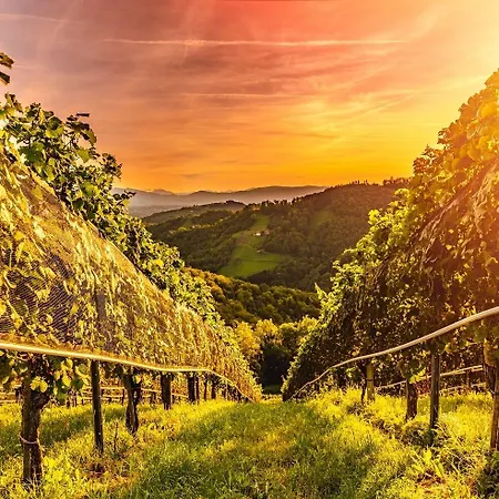 Zum Sausaler - Boutique Hotel-pension Suedsteiermark *