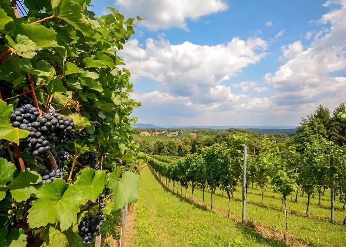 Zum Sausaler - Boutique Hotel-pension Südsteiermark *