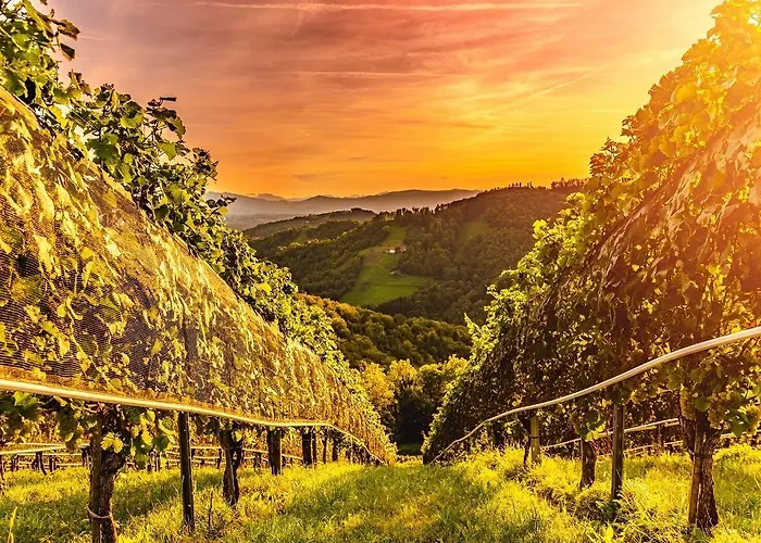 Zum Sausaler - Boutique Hotel-pension Südsteiermark *